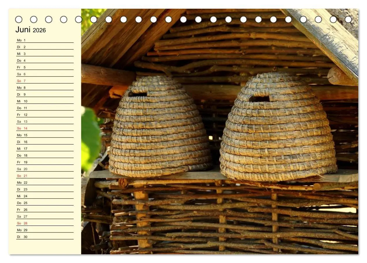 Bild: 9783457982792 | Fleißige Bienen. Von der Blüte bis zum Honig (Tischkalender 2026...