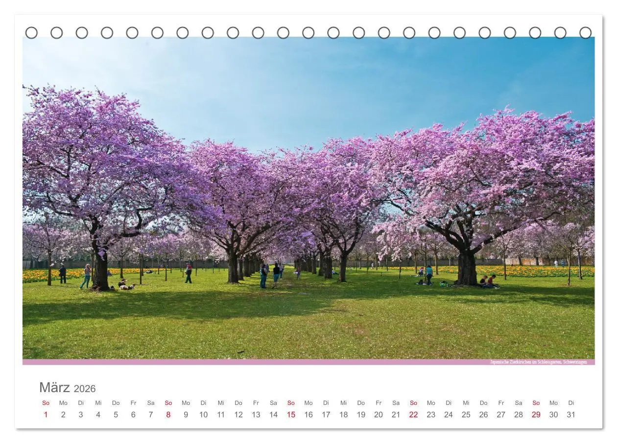 Bild: 9783516212792 | Der Neckar - Unterwegs in Deutschland (Tischkalender 2026 DIN A5...