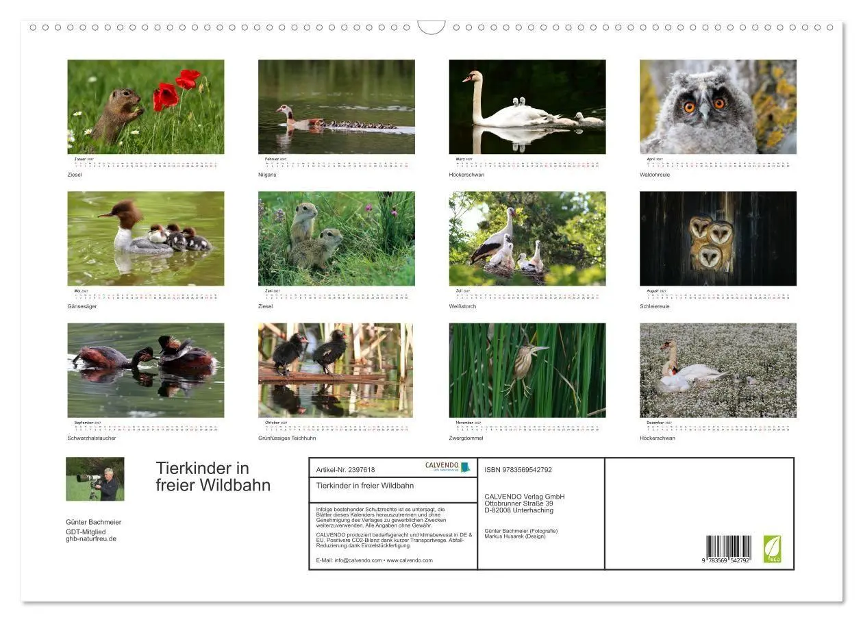 Bild: 9783569542792 | Tierkinder in freier Wildbahn (Wandkalender 2027 DIN A2 quer),...