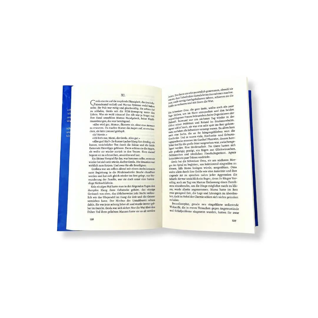 Bild: 9783990502792 | Das Gewissen der Tauben | Roman | Reinhold Bilgeri | Buch | 304 S.