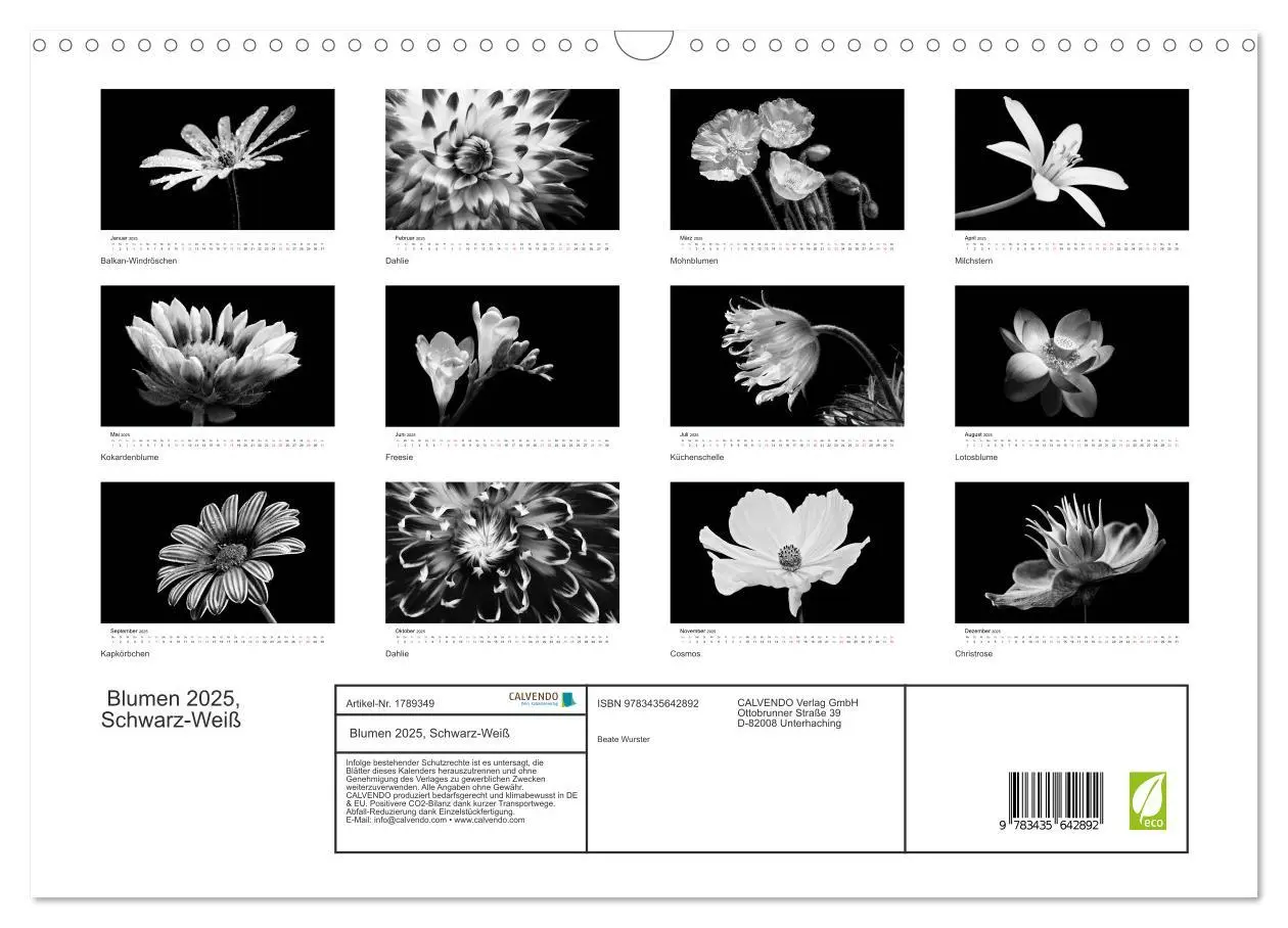 Bild: 9783435642892 | Blumen 2025, Schwarz-Weiß (Wandkalender 2025 DIN A3 quer), CALVENDO...