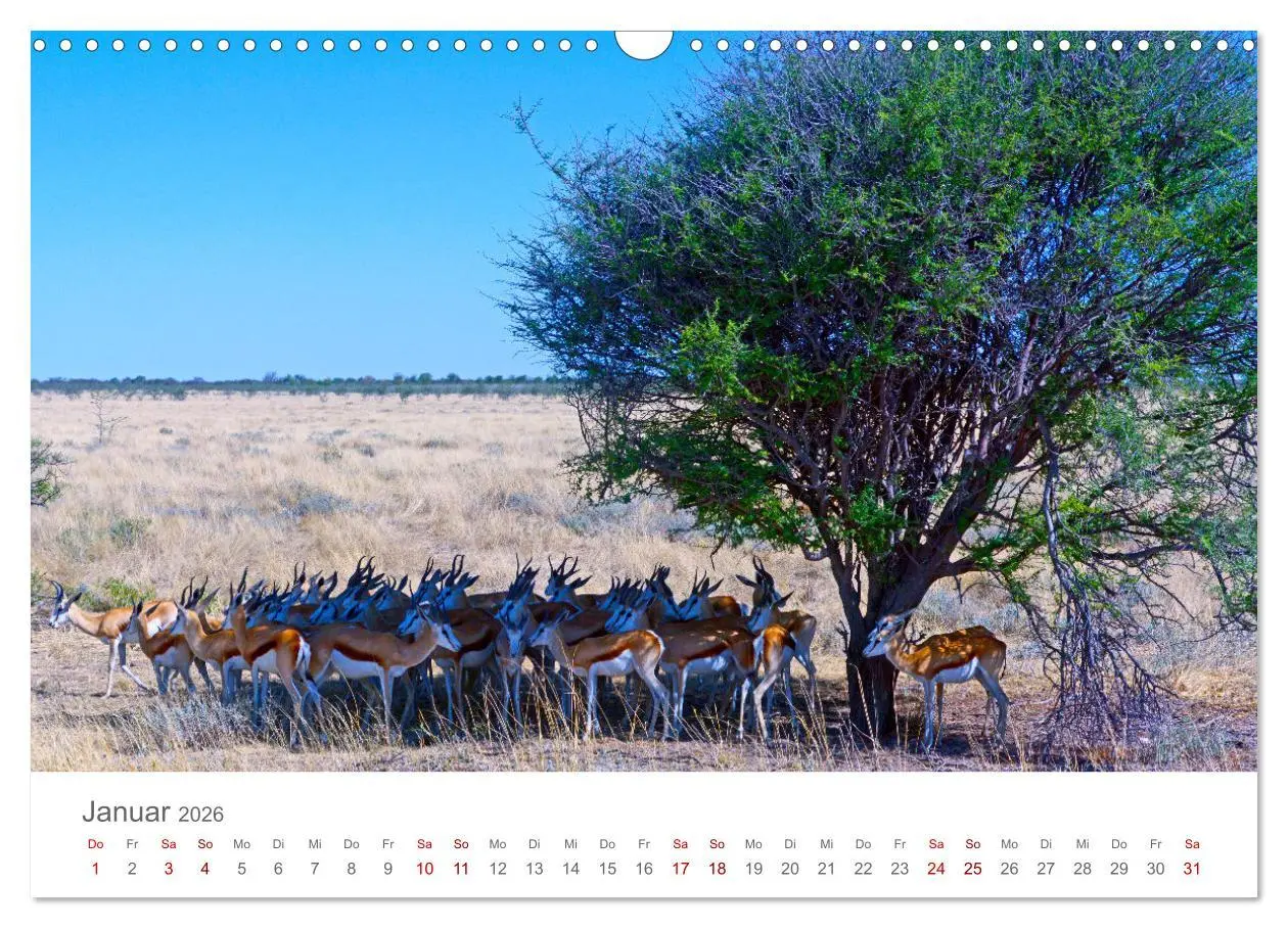 Bild: 9783457592892 | Namibia - Land im Süden Afrikas (Wandkalender 2026 DIN A3 quer),...