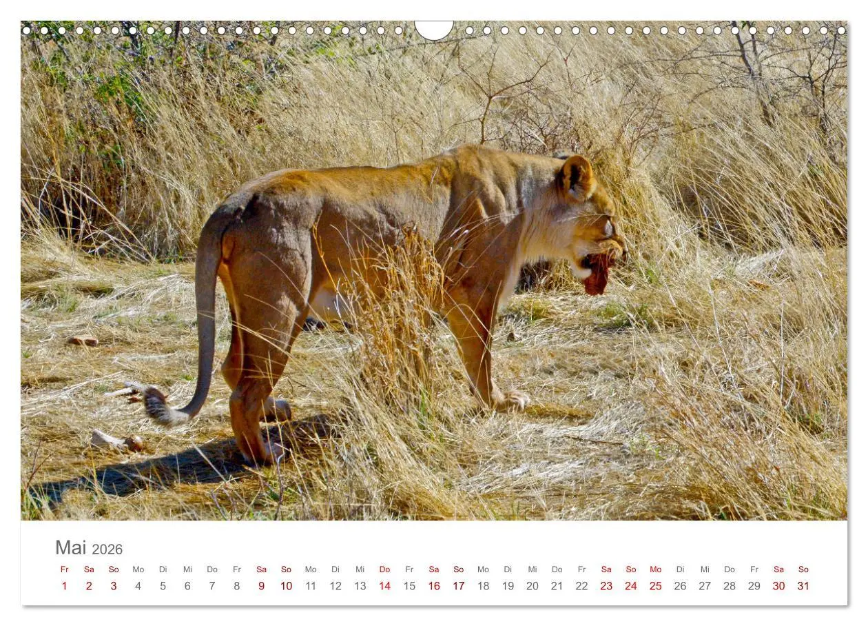 Bild: 9783457592892 | Namibia - Land im Süden Afrikas (Wandkalender 2026 DIN A3 quer),...