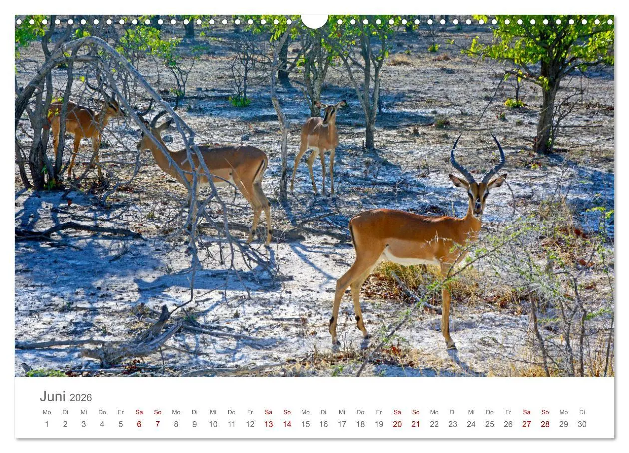 Bild: 9783457592892 | Namibia - Land im Süden Afrikas (Wandkalender 2026 DIN A3 quer),...