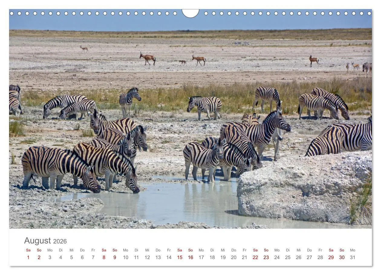 Bild: 9783457592892 | Namibia - Land im Süden Afrikas (Wandkalender 2026 DIN A3 quer),...