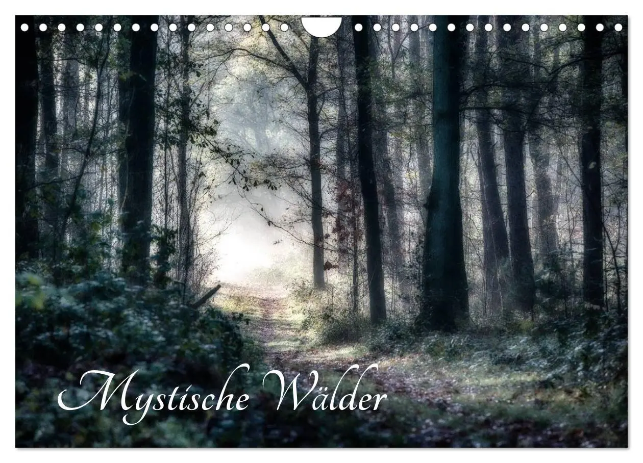 Cover: 9783457972892 | Mystische Wälder (Wandkalender 2026 DIN A4 quer), CALVENDO...