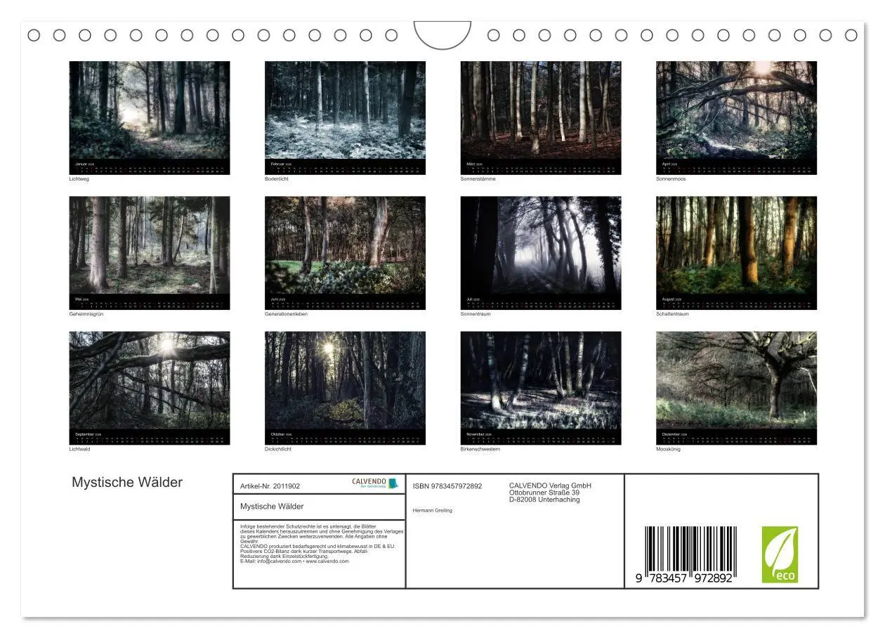 Bild: 9783457972892 | Mystische Wälder (Wandkalender 2026 DIN A4 quer), CALVENDO...