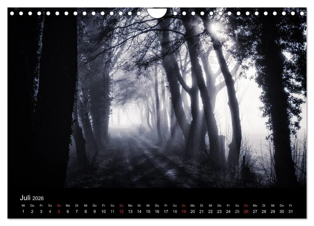 Bild: 9783457972892 | Mystische Wälder (Wandkalender 2026 DIN A4 quer), CALVENDO...