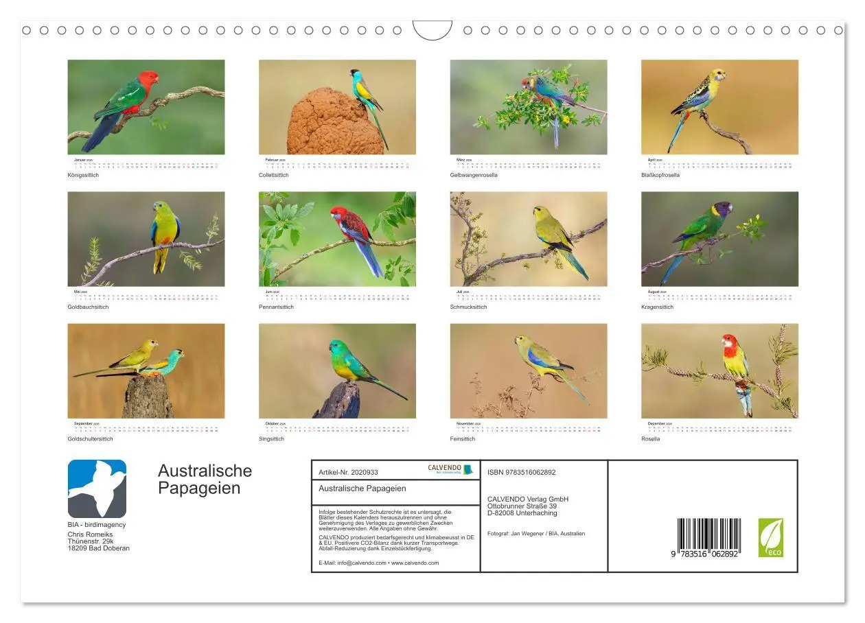 Bild: 9783516062892 | Australische Papageien (Wandkalender 2026 DIN A3 quer), CALVENDO...