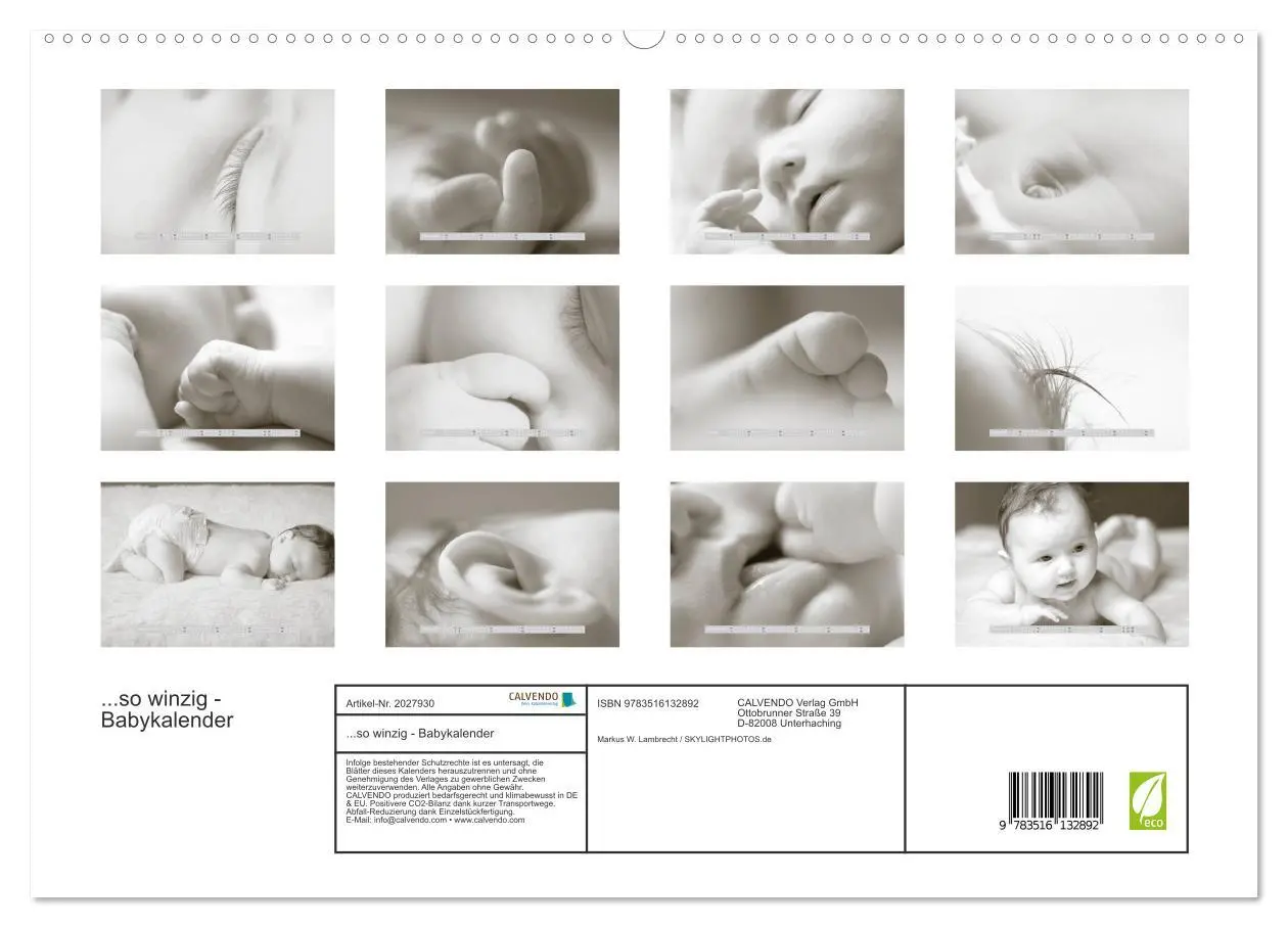 Bild: 9783516132892 | ...so winzig - Babykalender (hochwertiger Premium Wandkalender 2026...
