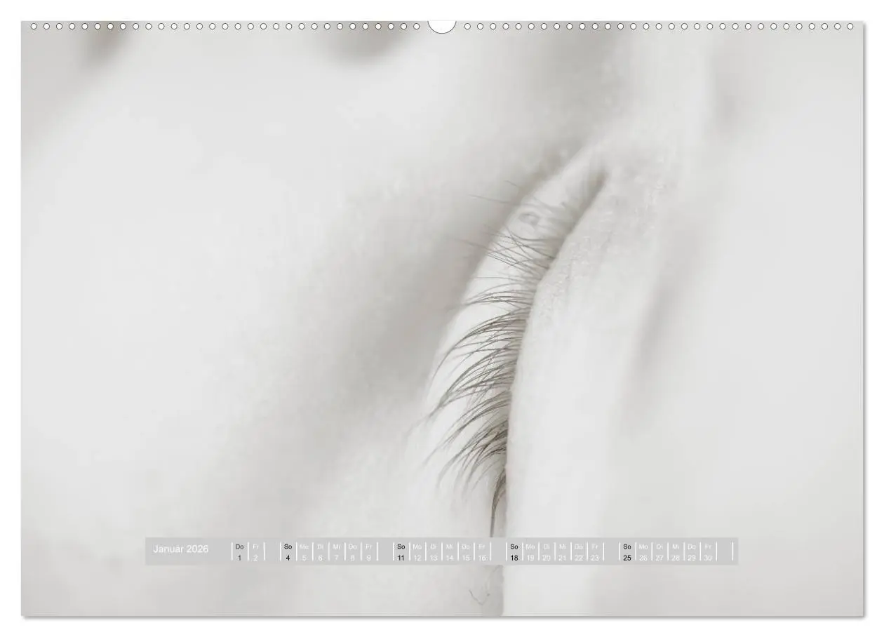 Bild: 9783516132892 | ...so winzig - Babykalender (hochwertiger Premium Wandkalender 2026...