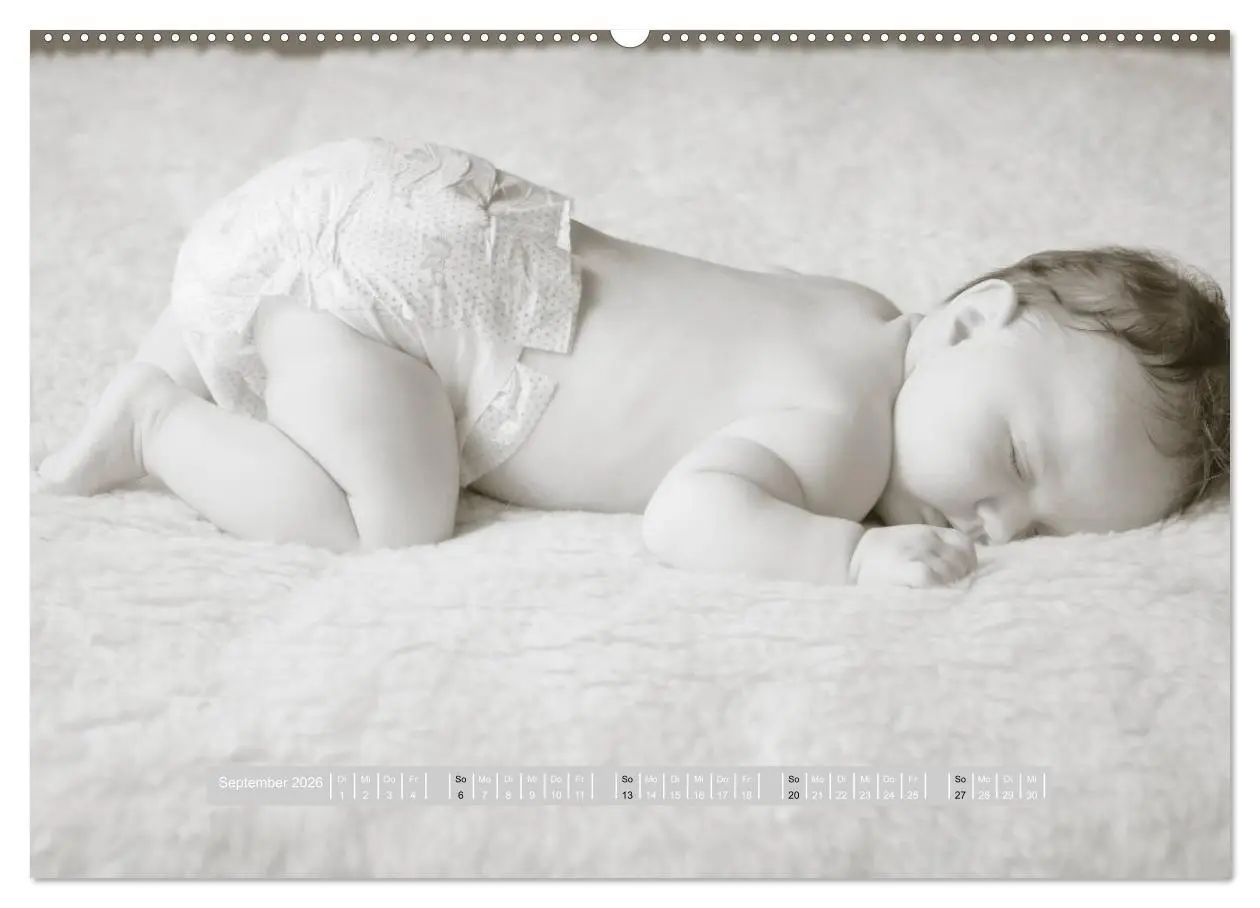 Bild: 9783516132892 | ...so winzig - Babykalender (hochwertiger Premium Wandkalender 2026...