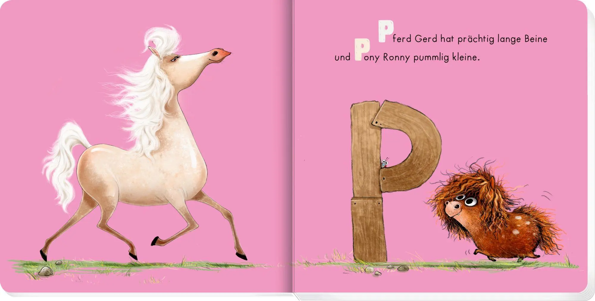 Bild: 9783649652892 | A wie Affe | Ein wildes Tier-ABC | Cornelia Boese | Buch | 34 S.