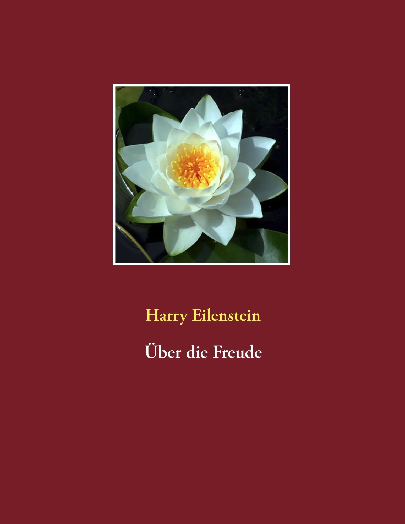 Cover: 9783839112892 | Über die Freude | Harry Eilenstein | Taschenbuch | 104 S. | Deutsch