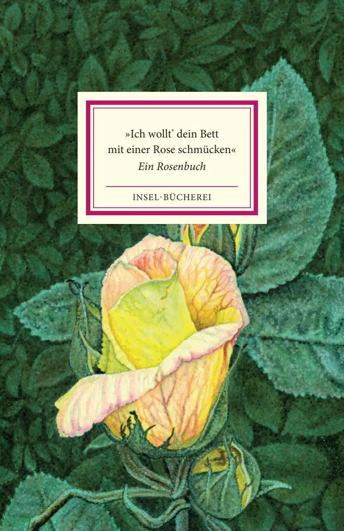 Cover: 9783458642992 | 'Ich wollt' dein Bett mit einer Rose schmücken' | Matthias Reiner