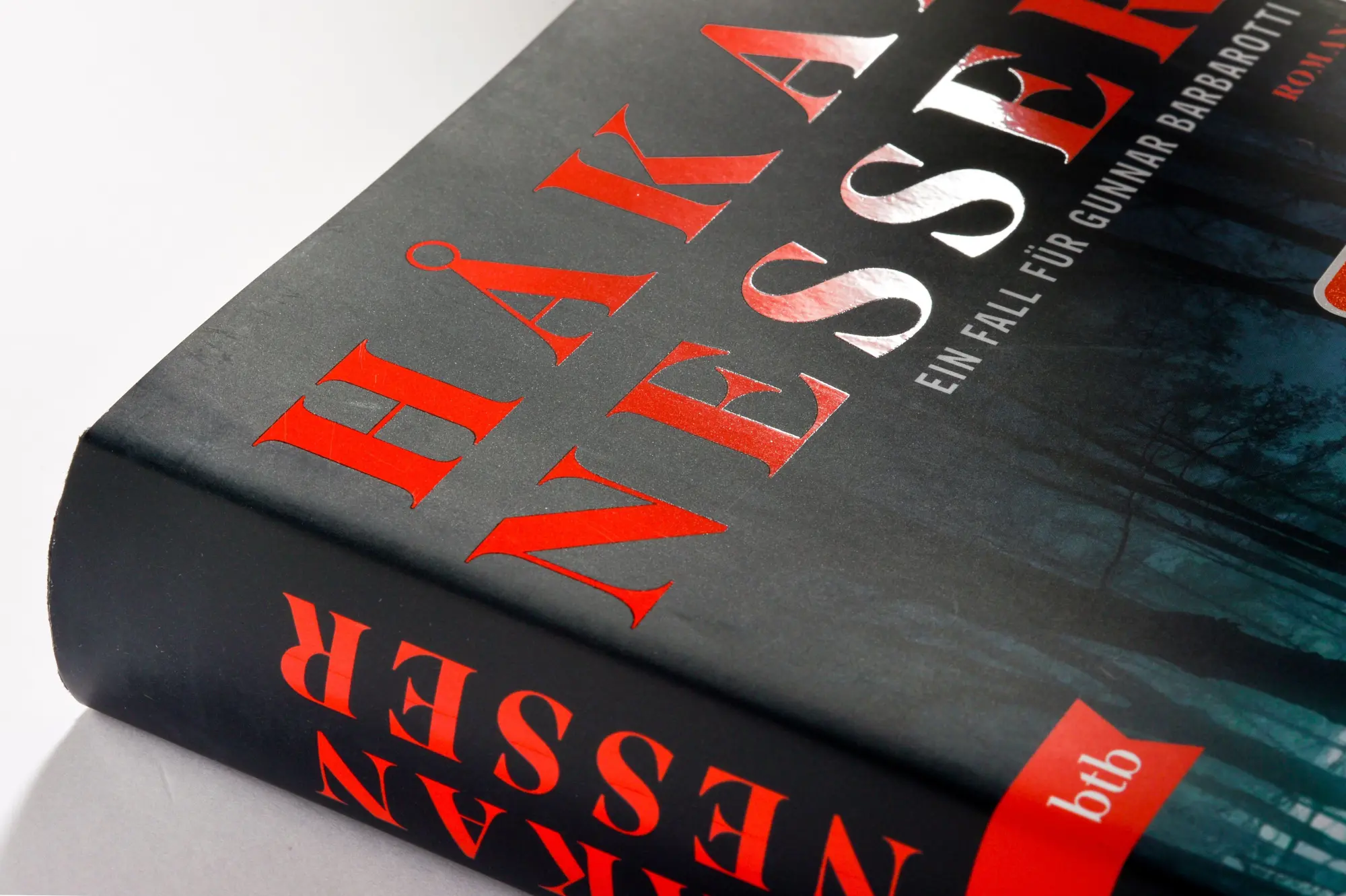 Bild: 9783442763092 | Eines jungen Mannes Reise in die Nacht | Roman | Håkan Nesser | Buch