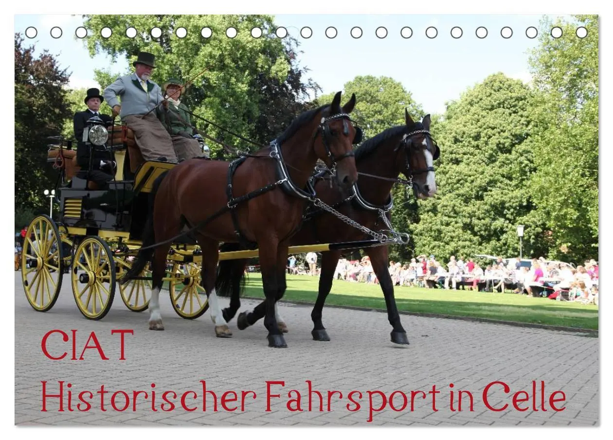 Cover: 9783516013092 | CIAT - Historischer Fahrsport in Celle (Tischkalender 2026 DIN A5...