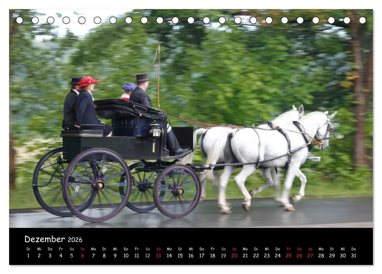 Bild: 9783516013092 | CIAT - Historischer Fahrsport in Celle (Tischkalender 2026 DIN A5...
