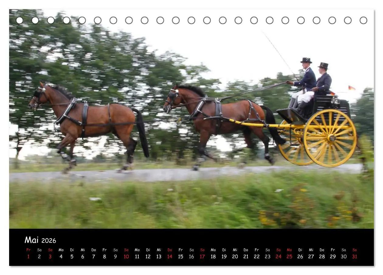 Bild: 9783516013092 | CIAT - Historischer Fahrsport in Celle (Tischkalender 2026 DIN A5...