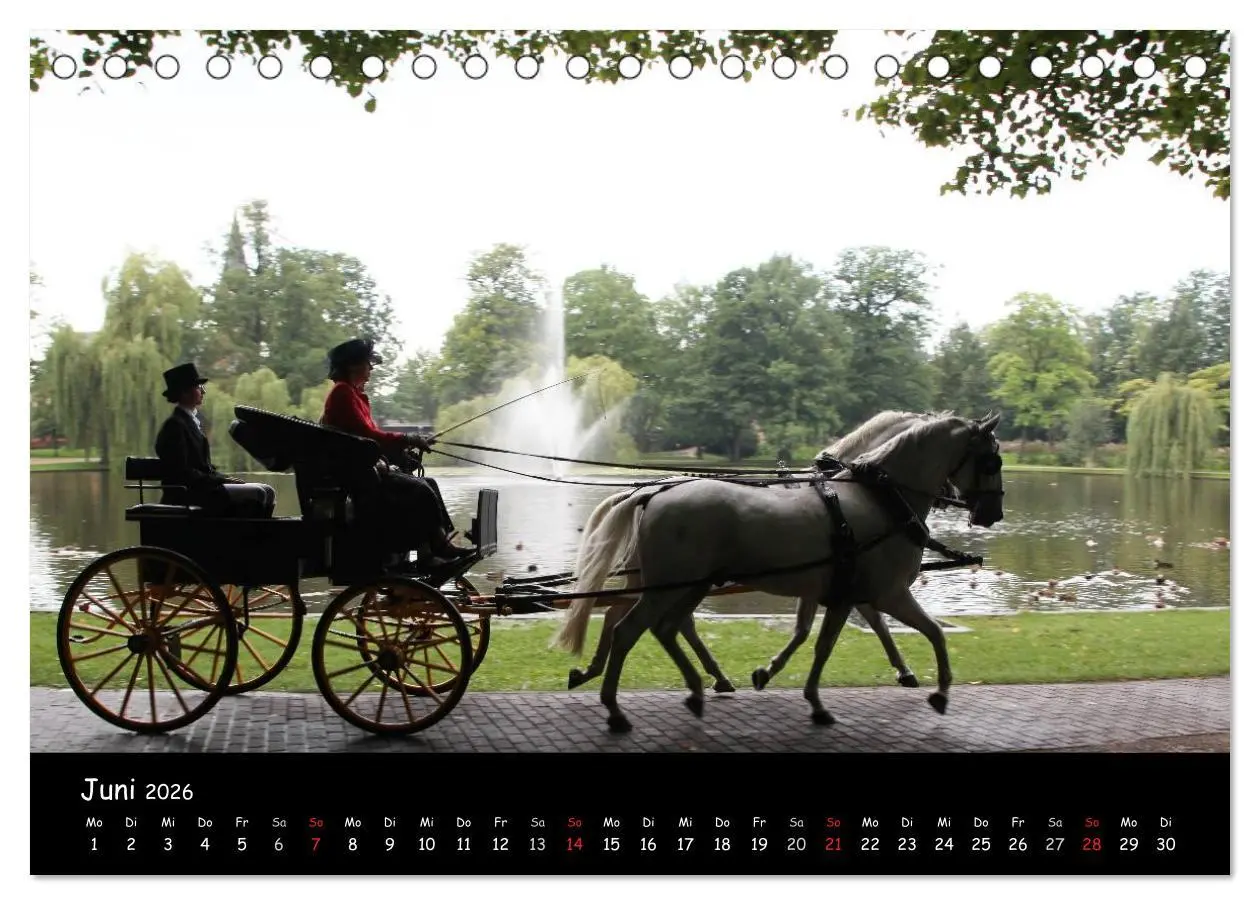 Bild: 9783516013092 | CIAT - Historischer Fahrsport in Celle (Tischkalender 2026 DIN A5...