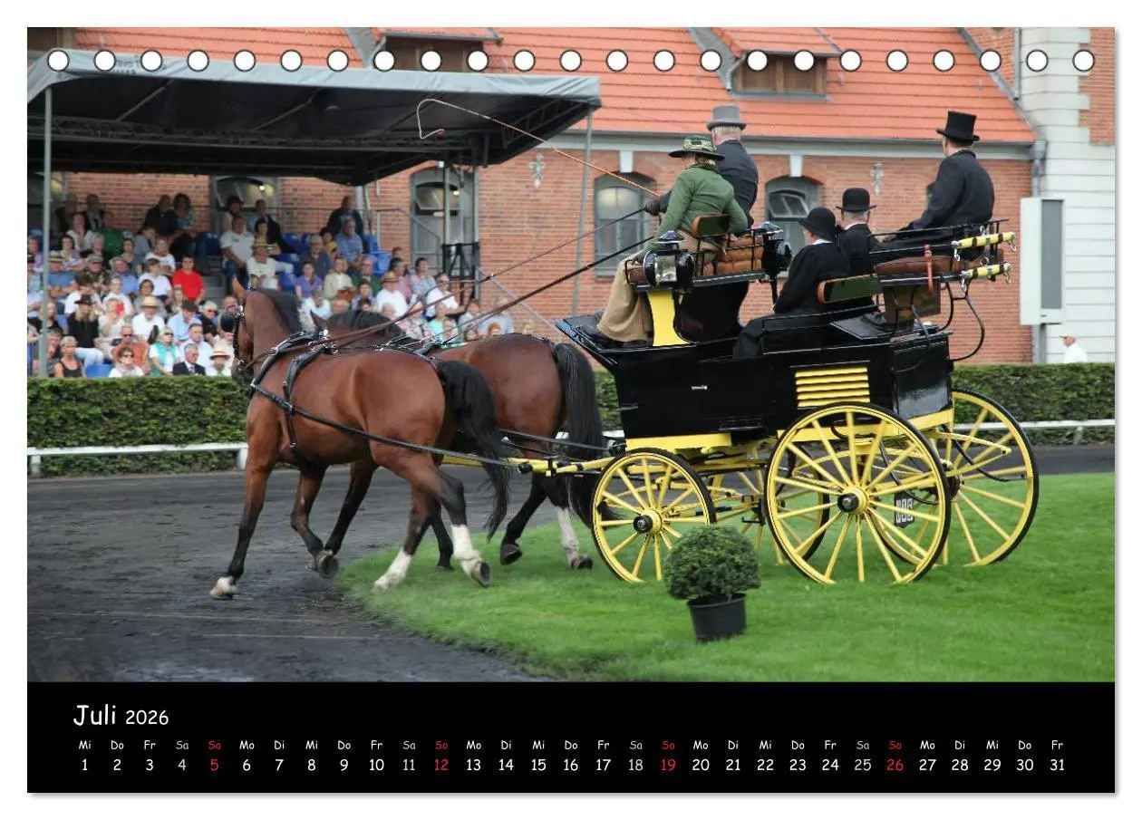 Bild: 9783516013092 | CIAT - Historischer Fahrsport in Celle (Tischkalender 2026 DIN A5...