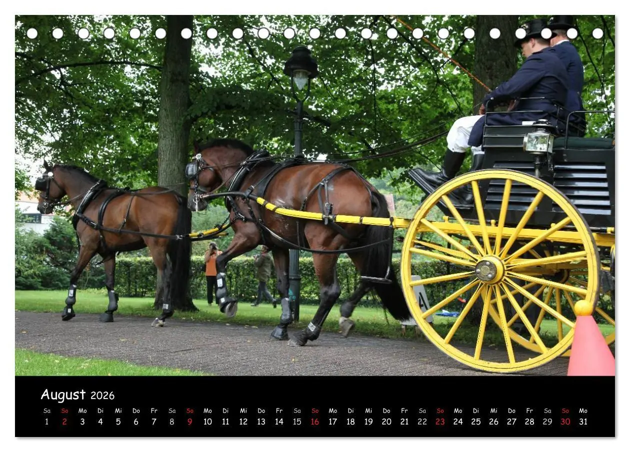 Bild: 9783516013092 | CIAT - Historischer Fahrsport in Celle (Tischkalender 2026 DIN A5...