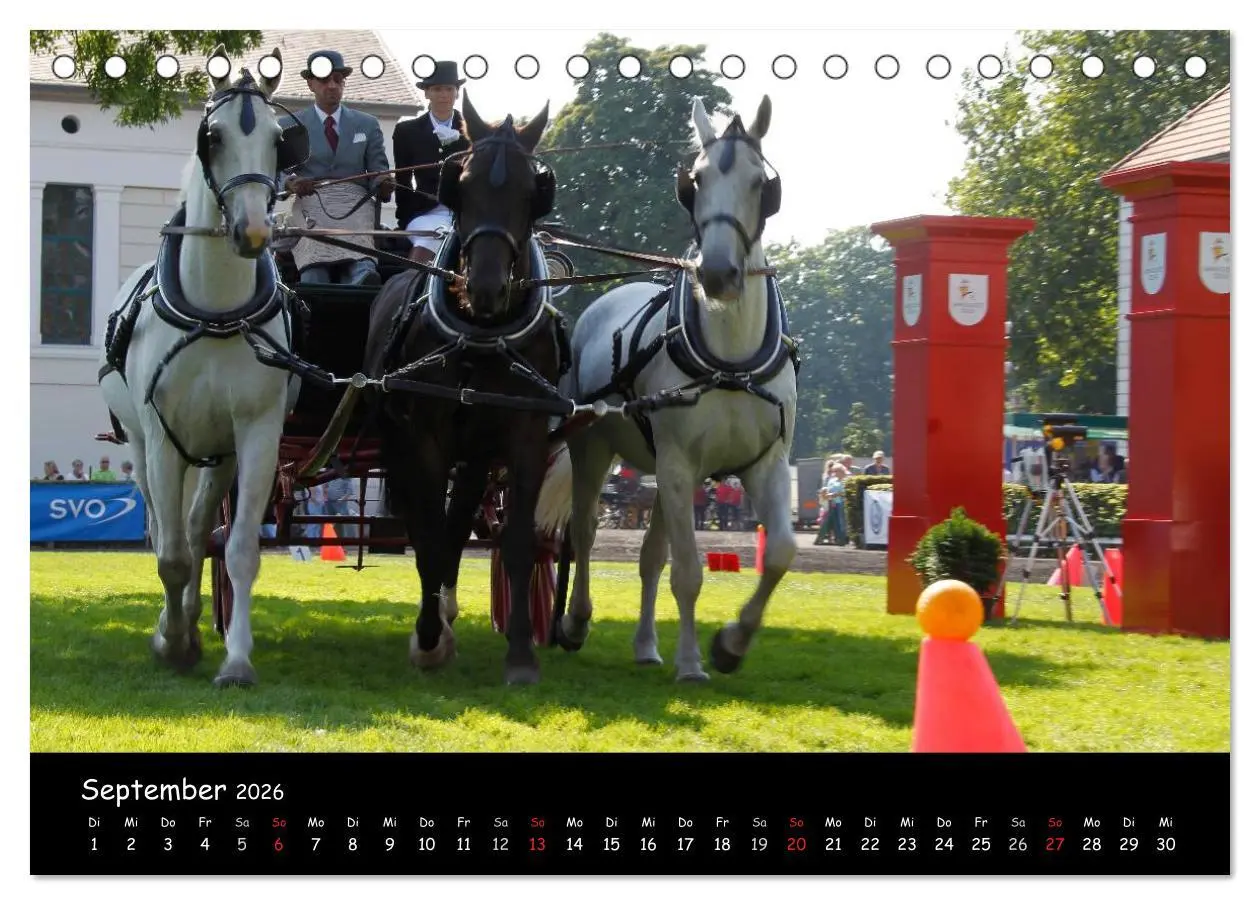 Bild: 9783516013092 | CIAT - Historischer Fahrsport in Celle (Tischkalender 2026 DIN A5...