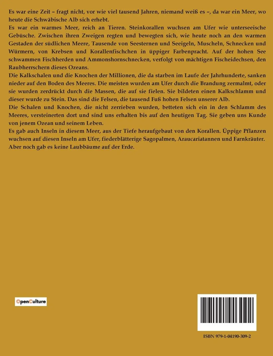 Rückseite: 9791041903092 | Rulaman | David Friedrich Weinland | Taschenbuch | 208 S. | Deutsch