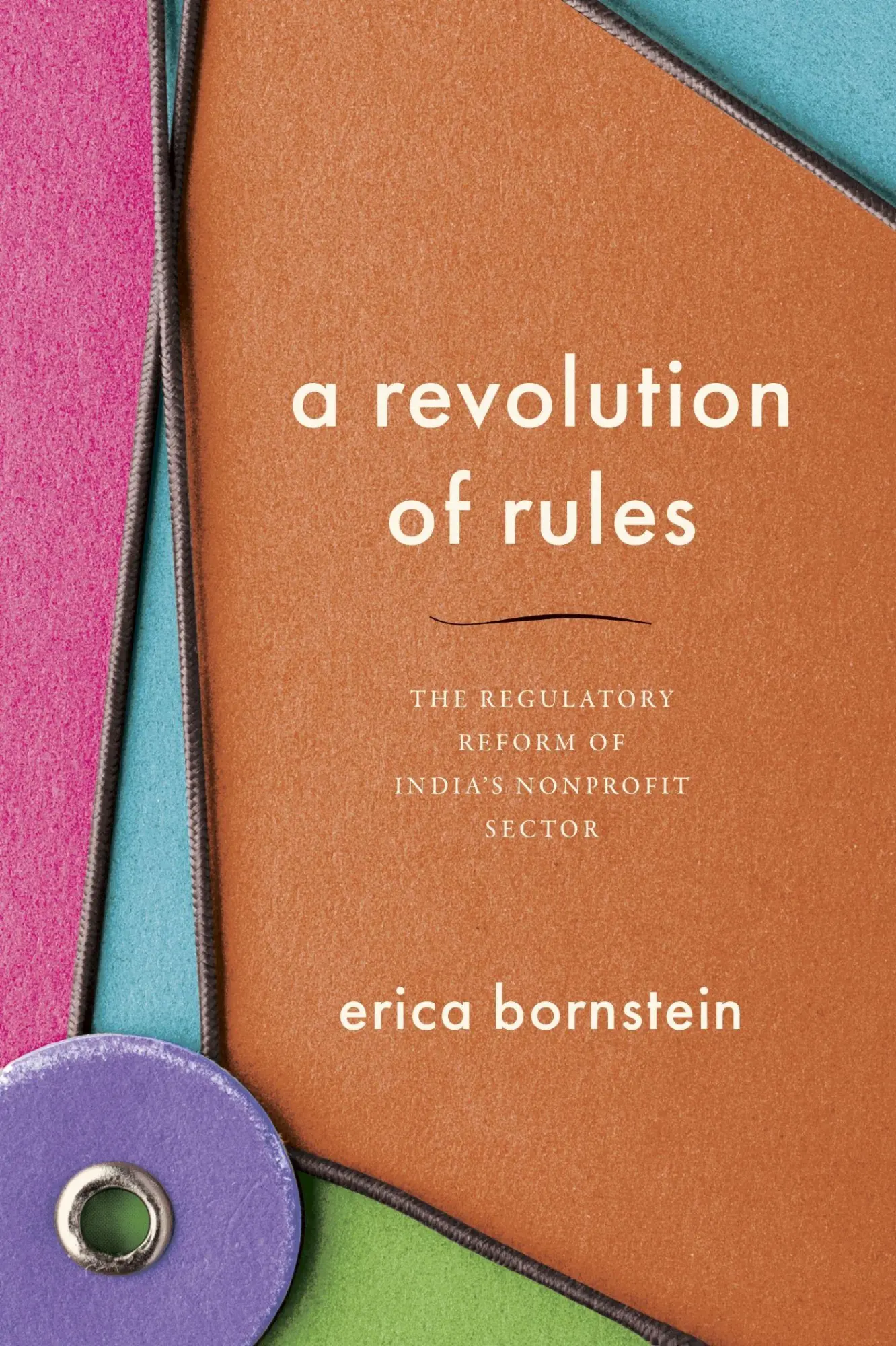 Cover: 9781503643192 | A Revolution of Rules | Erica Bornstein | Taschenbuch | Englisch