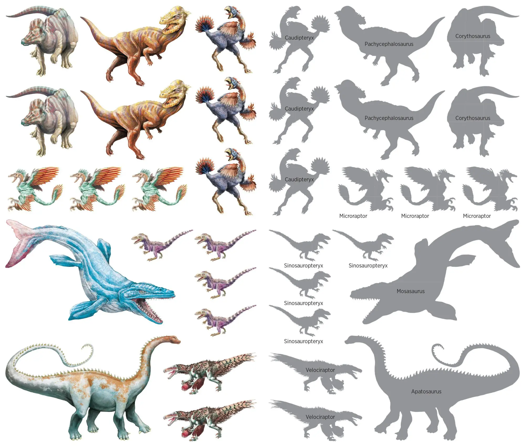 Bild: 9781635863192 | Roaring, Rumbling Tattoo Dinosaurs | 50 Temporary Tattoos That Teach