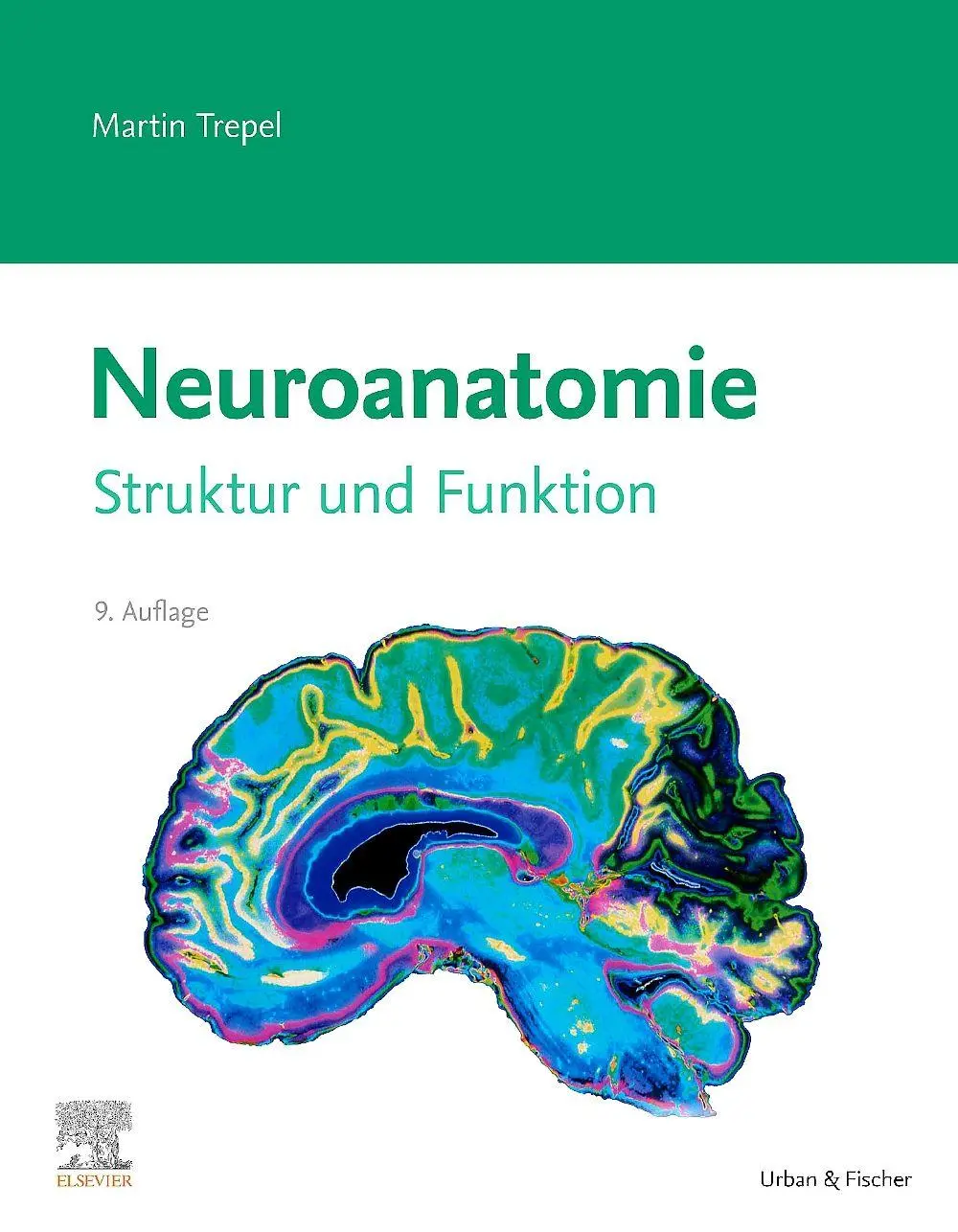 Cover: 9783437413292 | Neuroanatomie | Struktur und Funktion | Martin Trepel | Taschenbuch