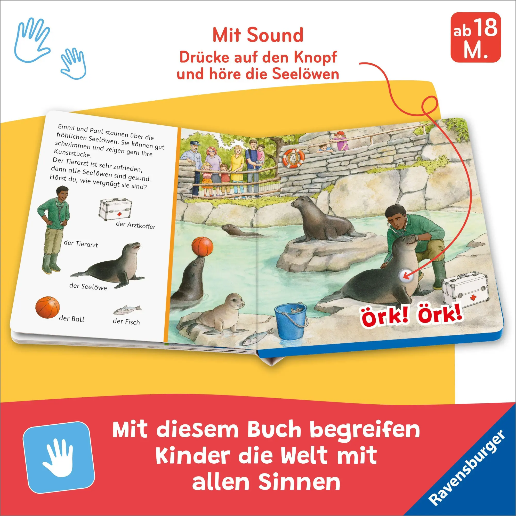 Bild: 9783473423392 | Hör mal hin - Sachen suchen, Sachen hören: Im Zoo | Frauke Nahrgang