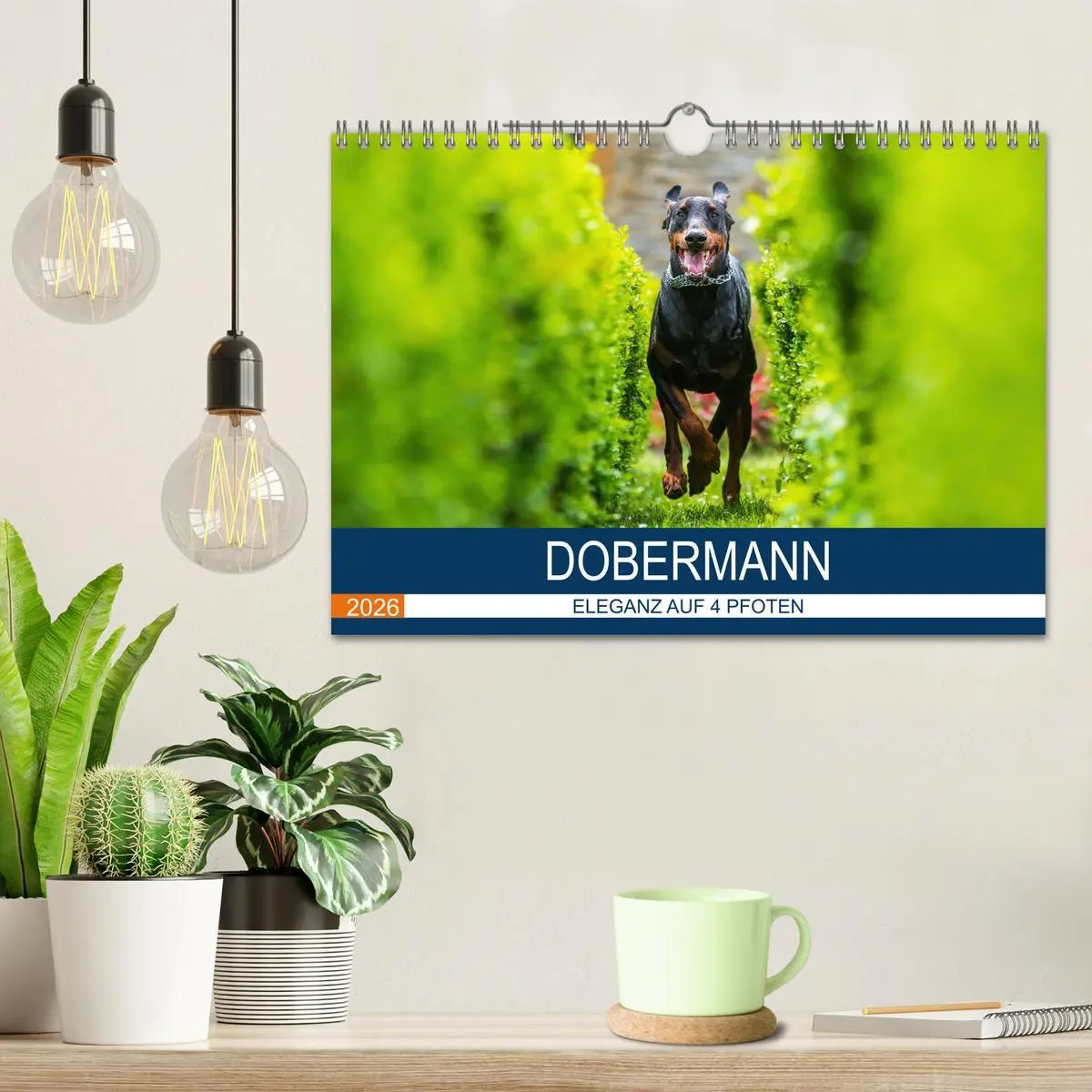Bild: 9783516083392 | Dobermann 2026 (Wandkalender 2026 DIN A4 quer), CALVENDO...