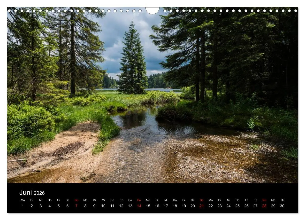 Bild: 9783516153392 | Bayerischer Wald (Wandkalender 2026 DIN A3 quer), CALVENDO...