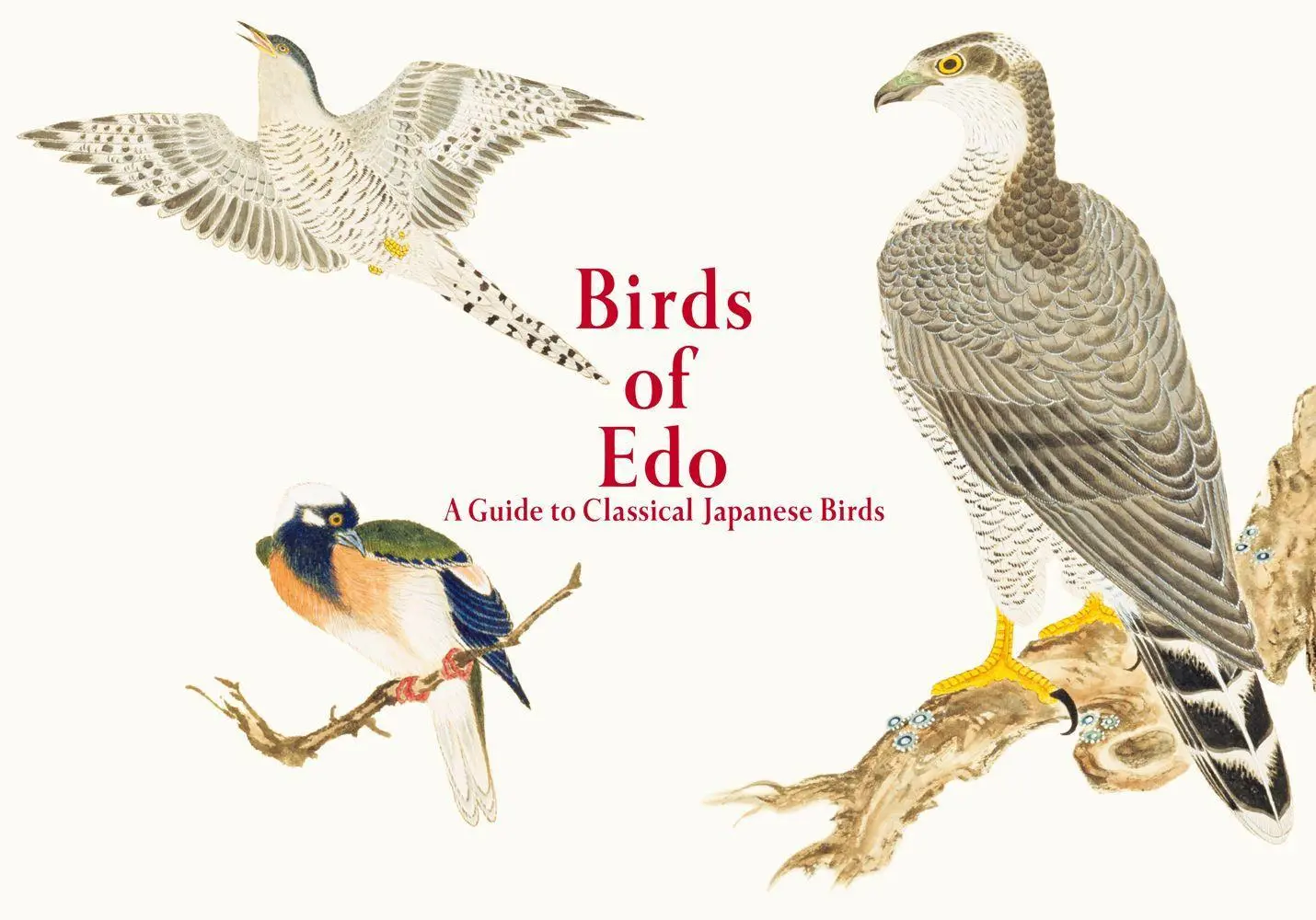 Cover: 9784756253392 | Birds of Edo | A Guide to Classical Japanese Birds | Pie International