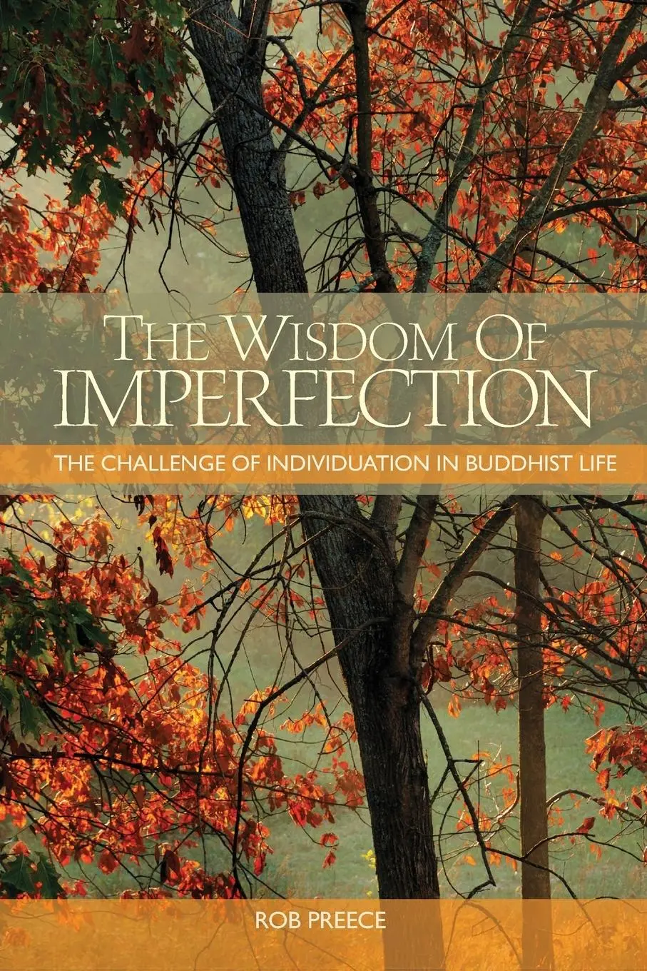 Cover: 9781559393492 | The Wisdom of Imperfection | Rob Preece | Taschenbuch | Englisch