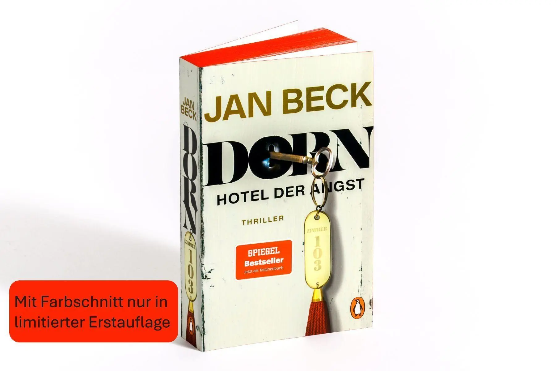 Bild: 9783328113492 | Dorn. Hotel der Angst | Zimmer 103. Thriller | Jan Beck | Taschenbuch