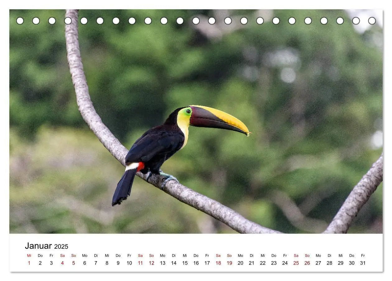Bild: 9783435273492 | Costa Rica - das Naturparadies (Tischkalender 2025 DIN A5 quer),...