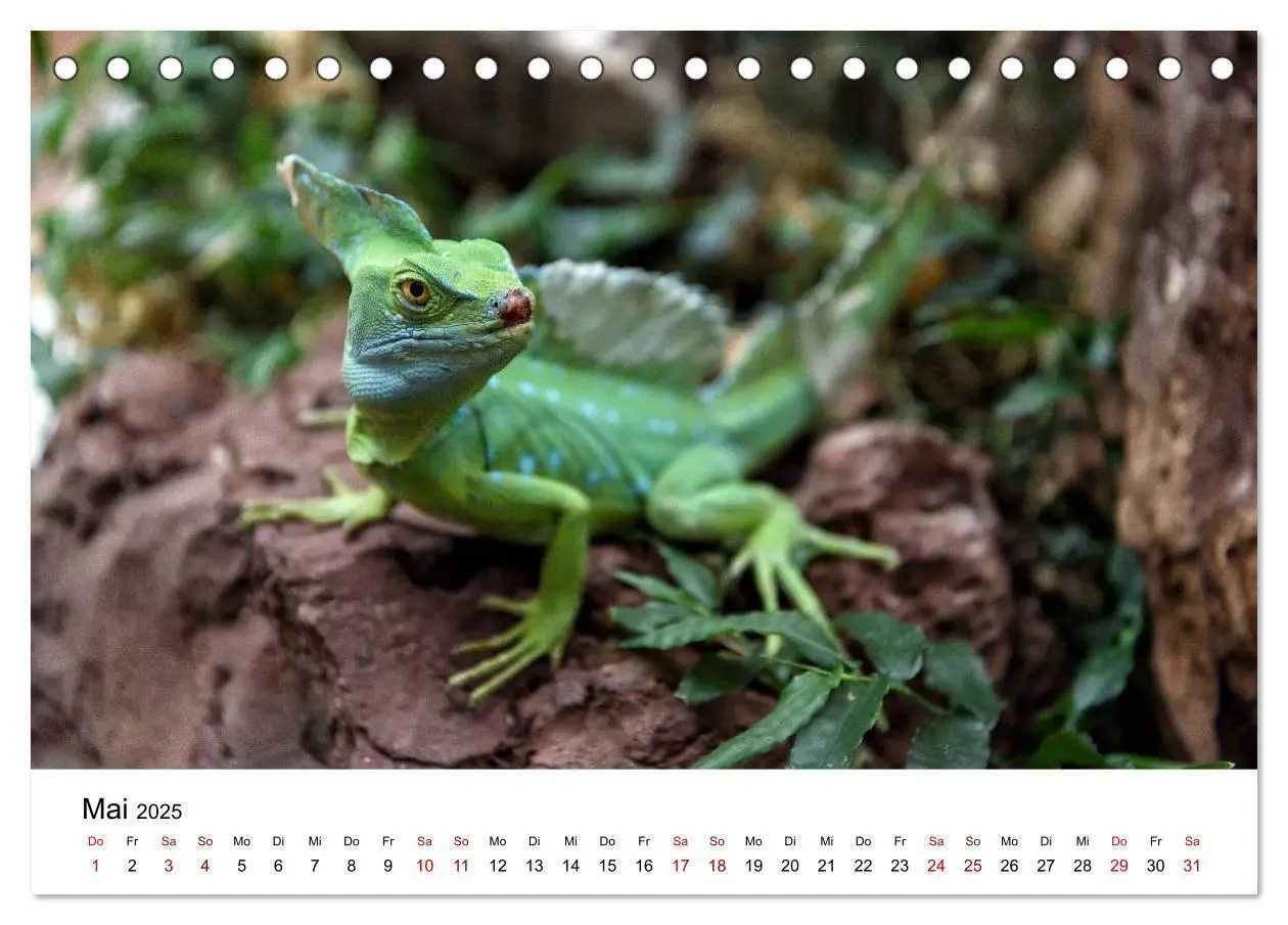 Bild: 9783435273492 | Costa Rica - das Naturparadies (Tischkalender 2025 DIN A5 quer),...