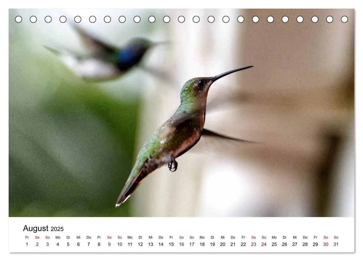 Bild: 9783435273492 | Costa Rica - das Naturparadies (Tischkalender 2025 DIN A5 quer),...