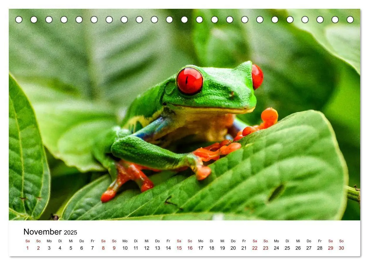 Bild: 9783435273492 | Costa Rica - das Naturparadies (Tischkalender 2025 DIN A5 quer),...