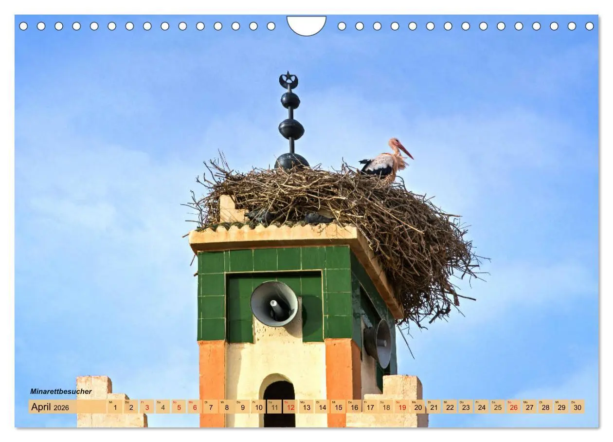 Bild: 9783457293492 | Marokko - Symphonie aus Licht und Farben (Wandkalender 2026 DIN A4...