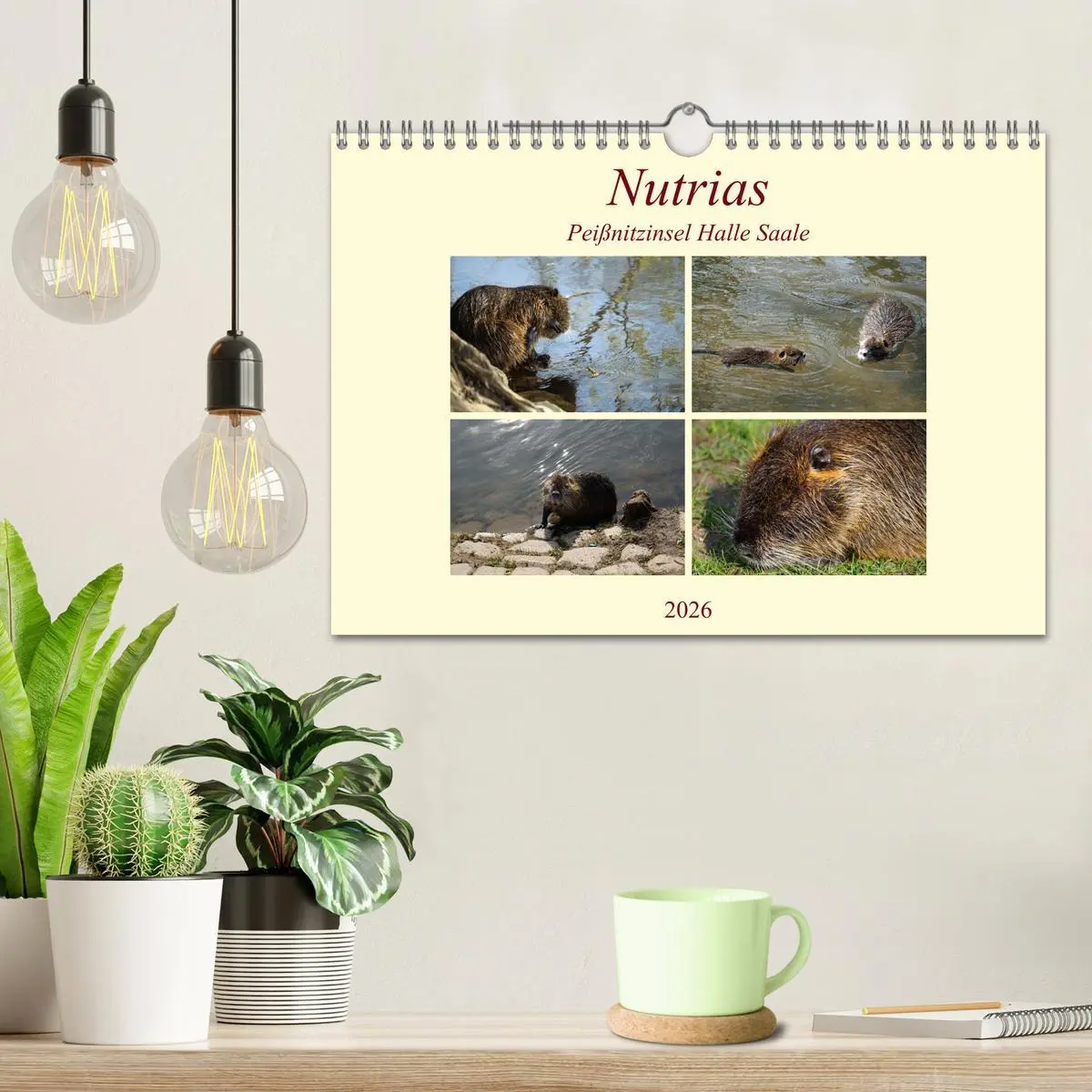 Bild: 9783457813492 | Nutrias Peißnitzinsel Halle Saale (Wandkalender 2026 DIN A4 quer),...