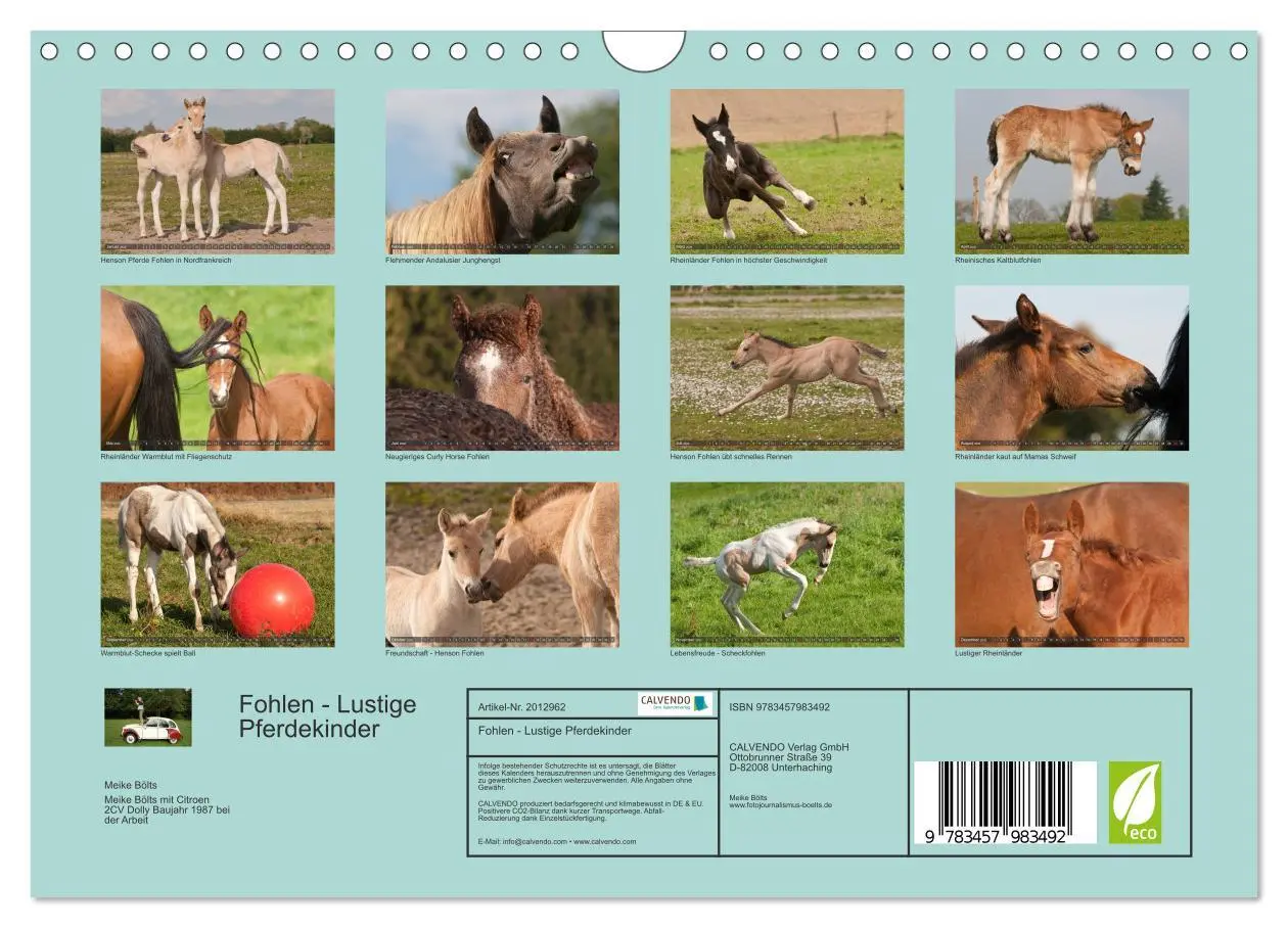Bild: 9783457983492 | Fohlen - Lustige Pferdekinder (Wandkalender 2026 DIN A4 quer),...