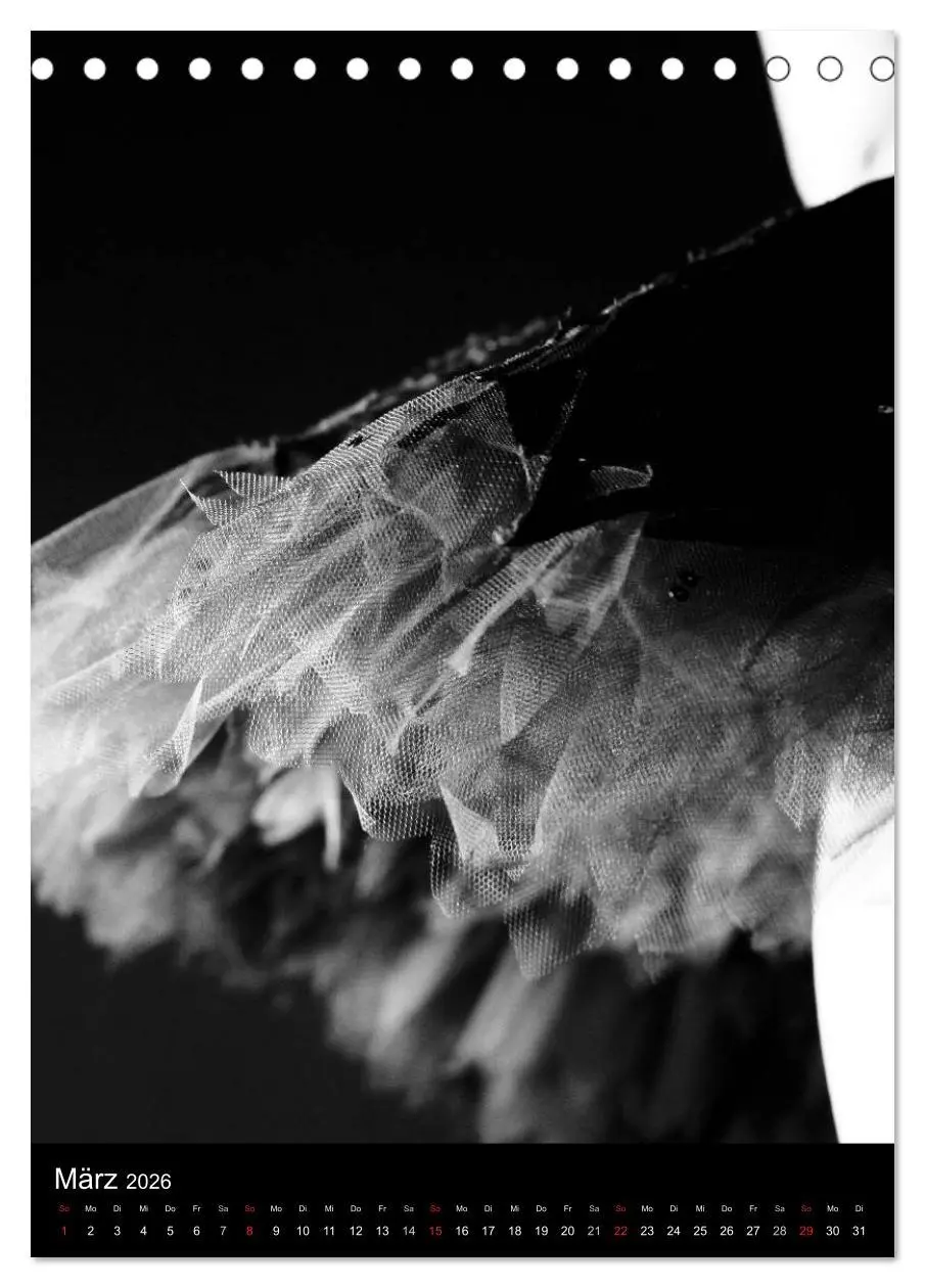 Bild: 9783516453492 | Ballett Schwarzweiss (Tischkalender 2026 DIN A5 hoch), CALVENDO...