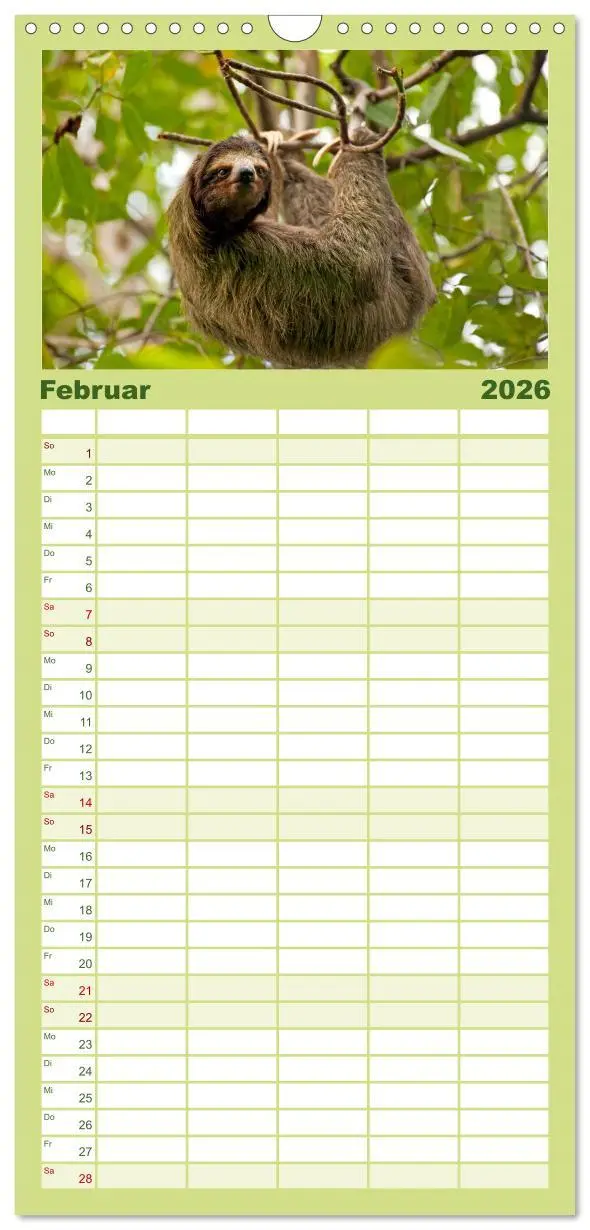 Bild: 9783516523492 | Familienplaner 2026 - Costa Rica mit 5 Spalten (Wandkalender, 21 x...