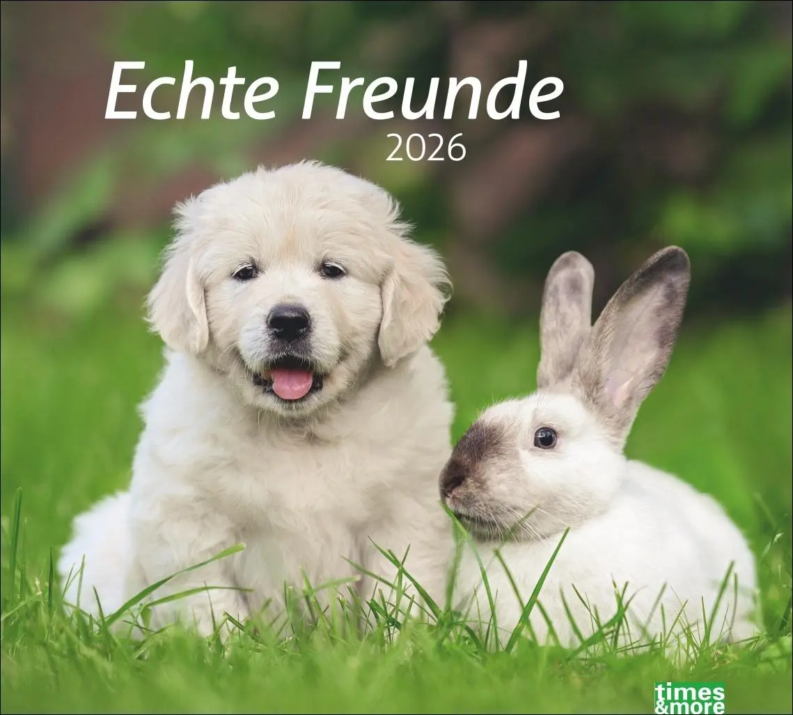 Cover: 9783756413492 | times&amp;more Echte Freunde Bildkalender 2026 | Heye | Kalender | 14 S.