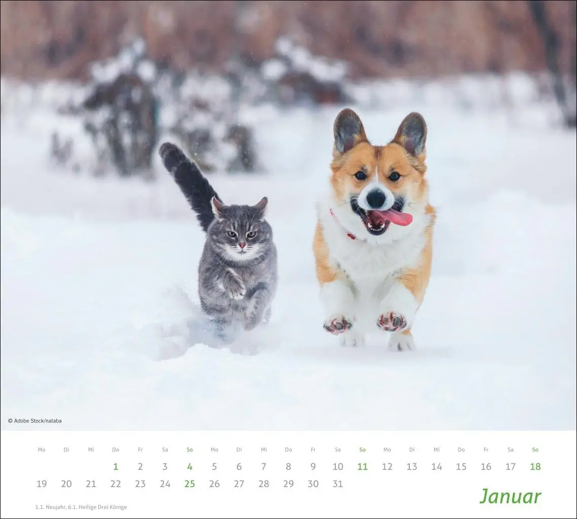 Bild: 9783756413492 | times&amp;more Echte Freunde Bildkalender 2026 | Heye | Kalender | 14 S.