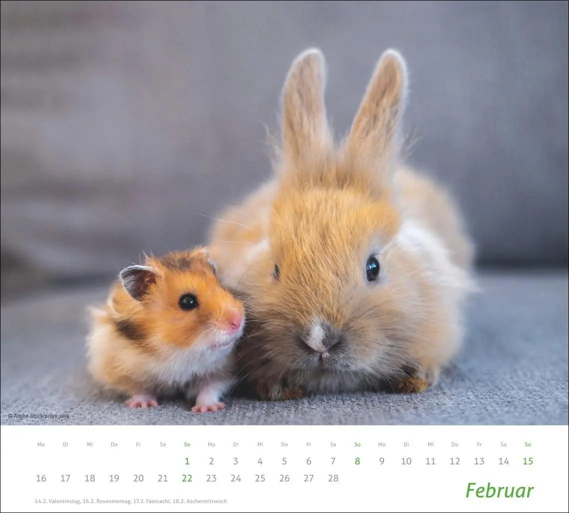Bild: 9783756413492 | times&amp;more Echte Freunde Bildkalender 2026 | Heye | Kalender | 14 S.