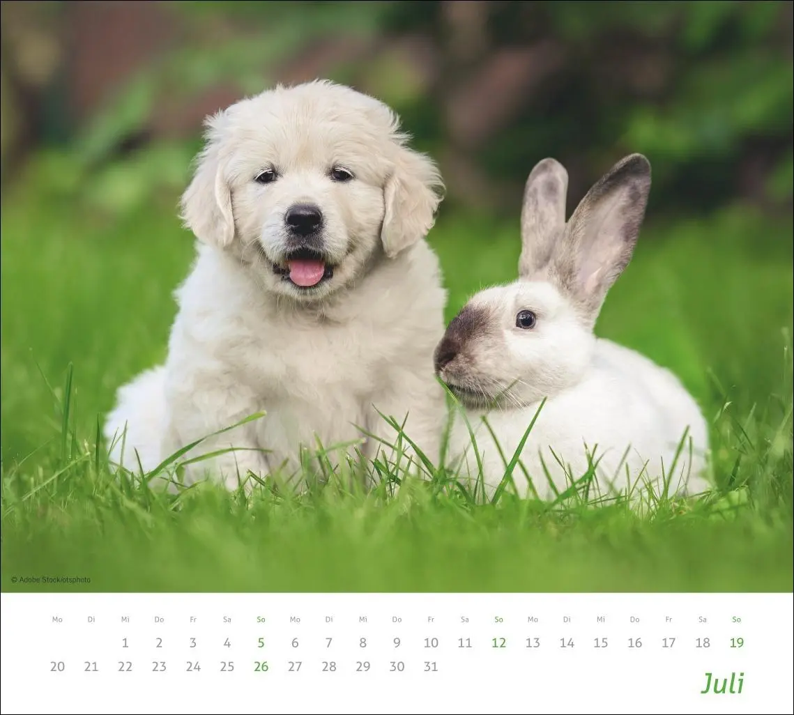 Bild: 9783756413492 | times&amp;more Echte Freunde Bildkalender 2026 | Heye | Kalender | 14 S.